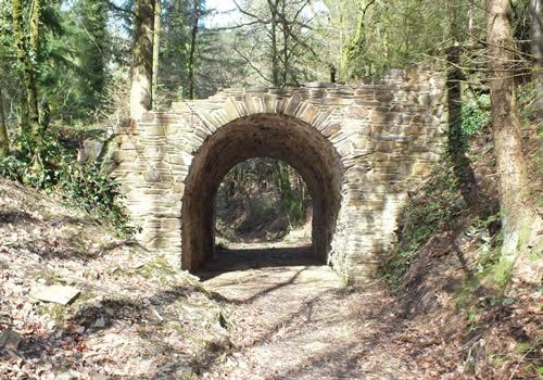 Photo Gallery Image - Tunnel in Blanchdown Woods