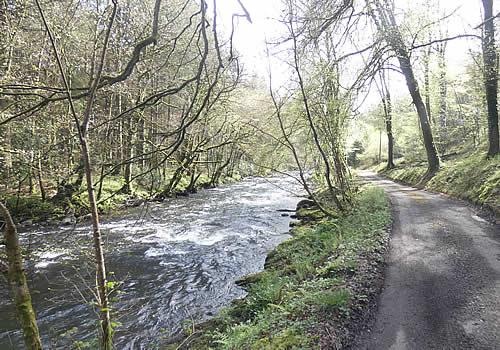 Photo Gallery Image - Walk by the River Tavy on the Parish Boundary